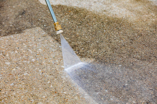 Best Spring Cleaning  in Forest City, FL